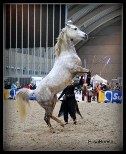 big DSC 0183 