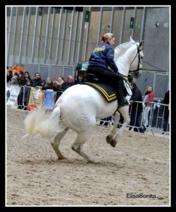 big DSC 0305 